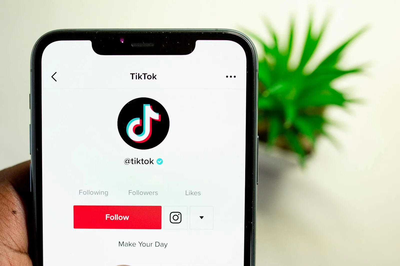 Menu on Restaurant Menu in TikTok Bio