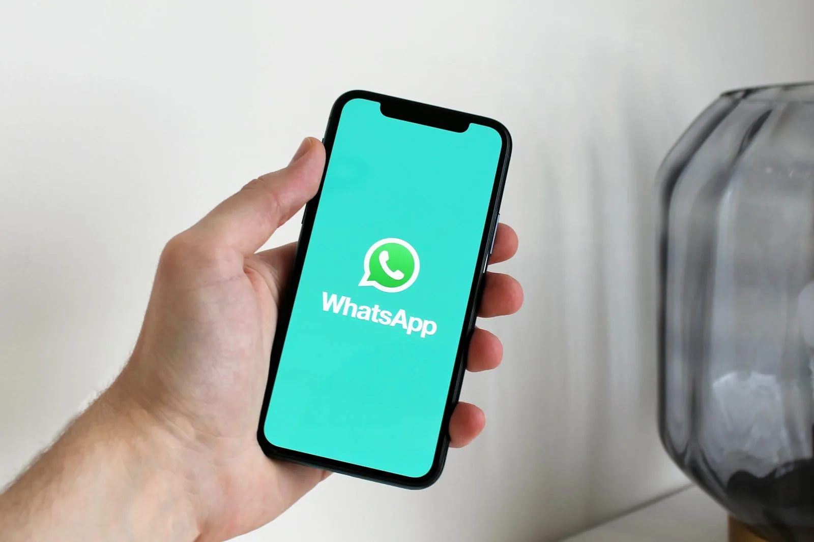 Menu on Restaurant Menu on WhatsApp