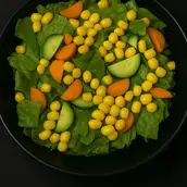 Garden Salad 