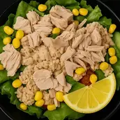 Tuna Salad 