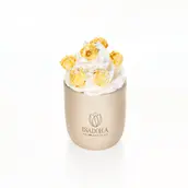 Isadora Coffee