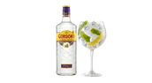 GIN GORDON'S