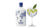 GIN NORDÉS