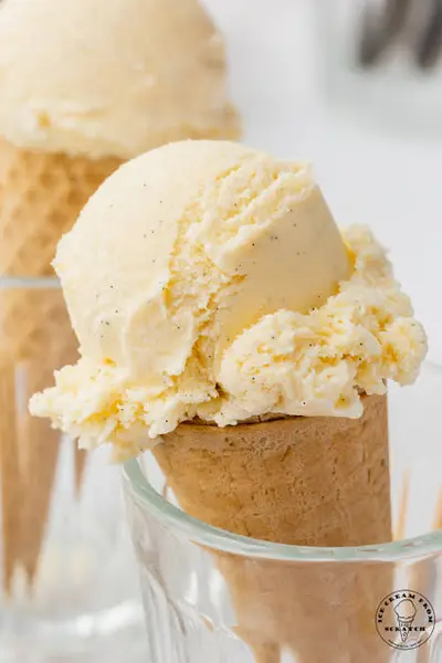 Vanilla Bean