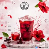 Iced Karkade