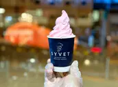 Ice-Cream Strawberry