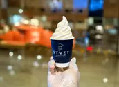 Ice-Cream Vanilla
