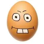 Fried Eggs