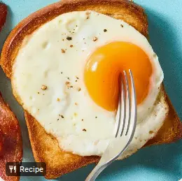 egg