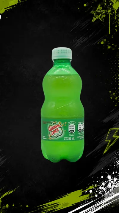 Canada Dry355ML
