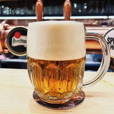 Pilsner urquell 0,5L