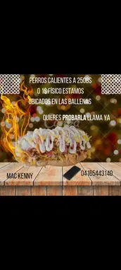 Perros calientes 