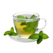 نعناع